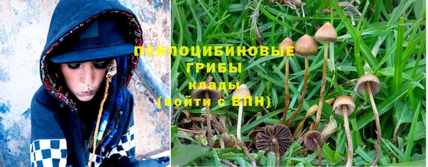 MDMA Лагань
