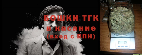 не бодяженный Ладушкин