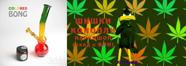 не бодяженный Ладушкин