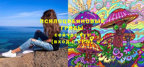 не бодяженный Ладушкин