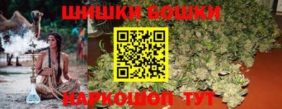 гашик Новозыбков