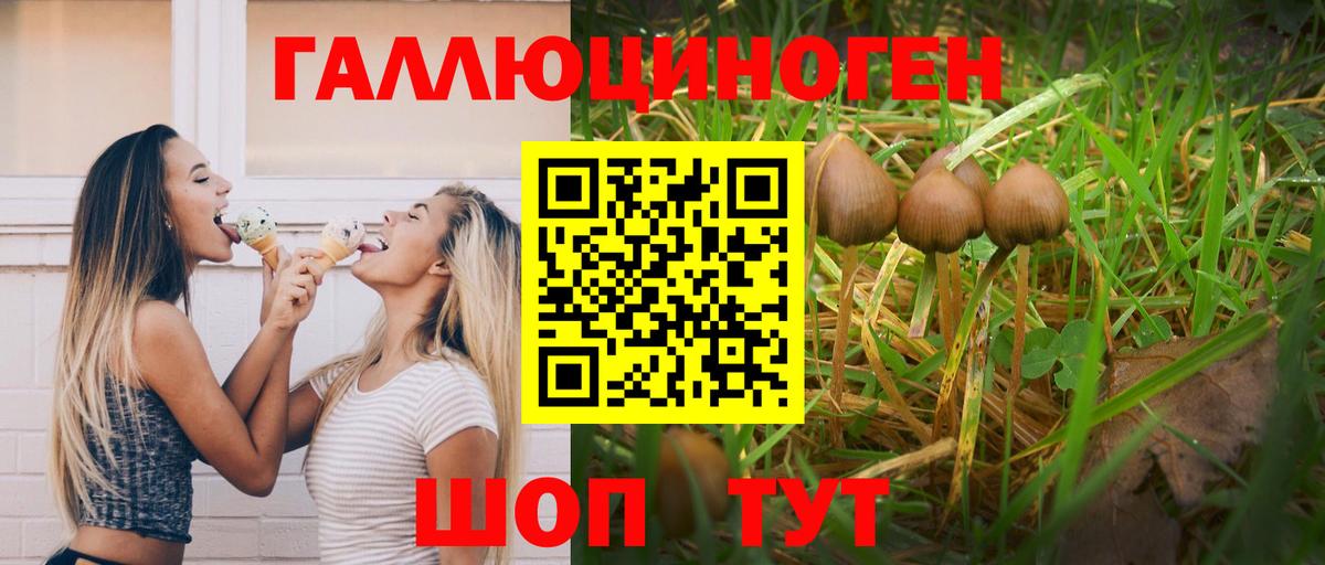 Псилоцибиновые грибы Psilocybe  Вход с VPN  Кузнецк  Галлюциногенные грибы Magic Shrooms 